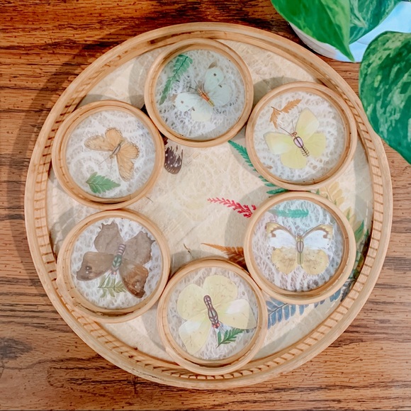 Vintage Preserved Butterfly Tray & Coaster Set